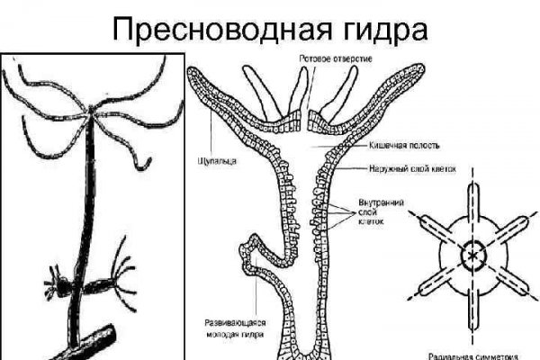 Mega darknet ссылка