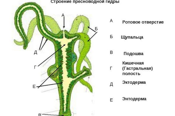 Актуальная ссылка на кракен